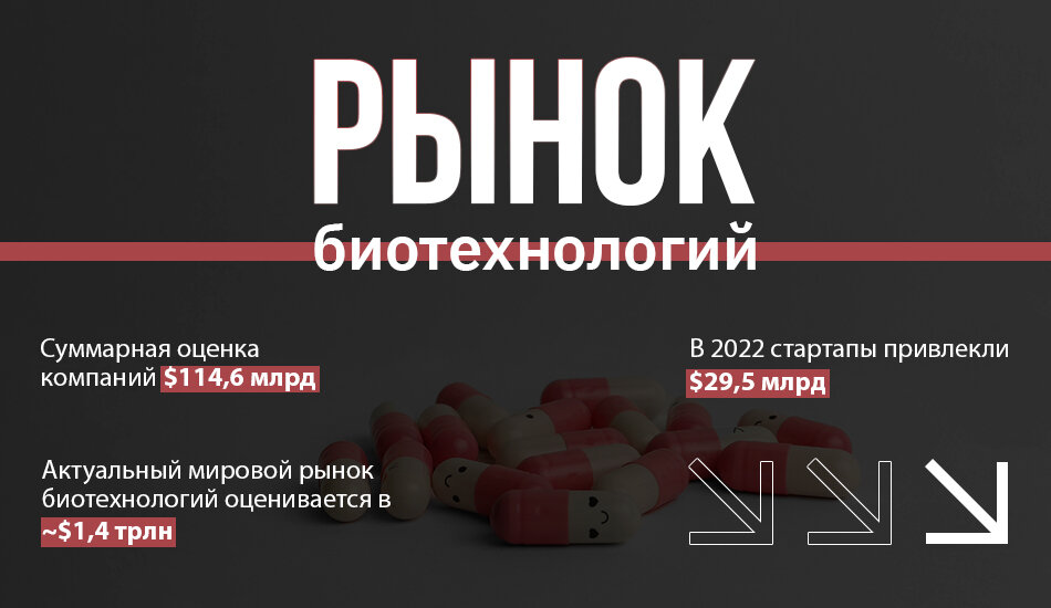 Рынок биотехнологий. Рынок биотехнологий ЮАР.