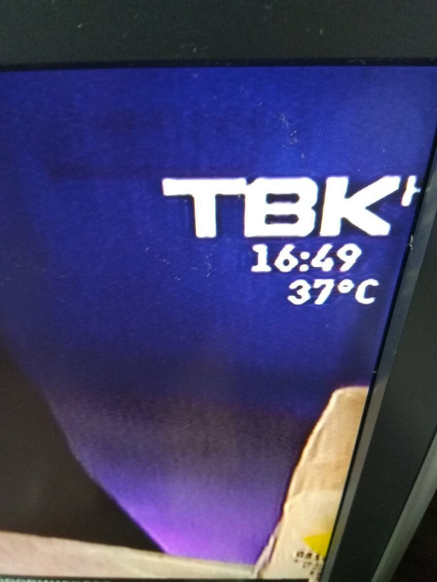 Фото автора. Сибирь. Красноярск. Июнь