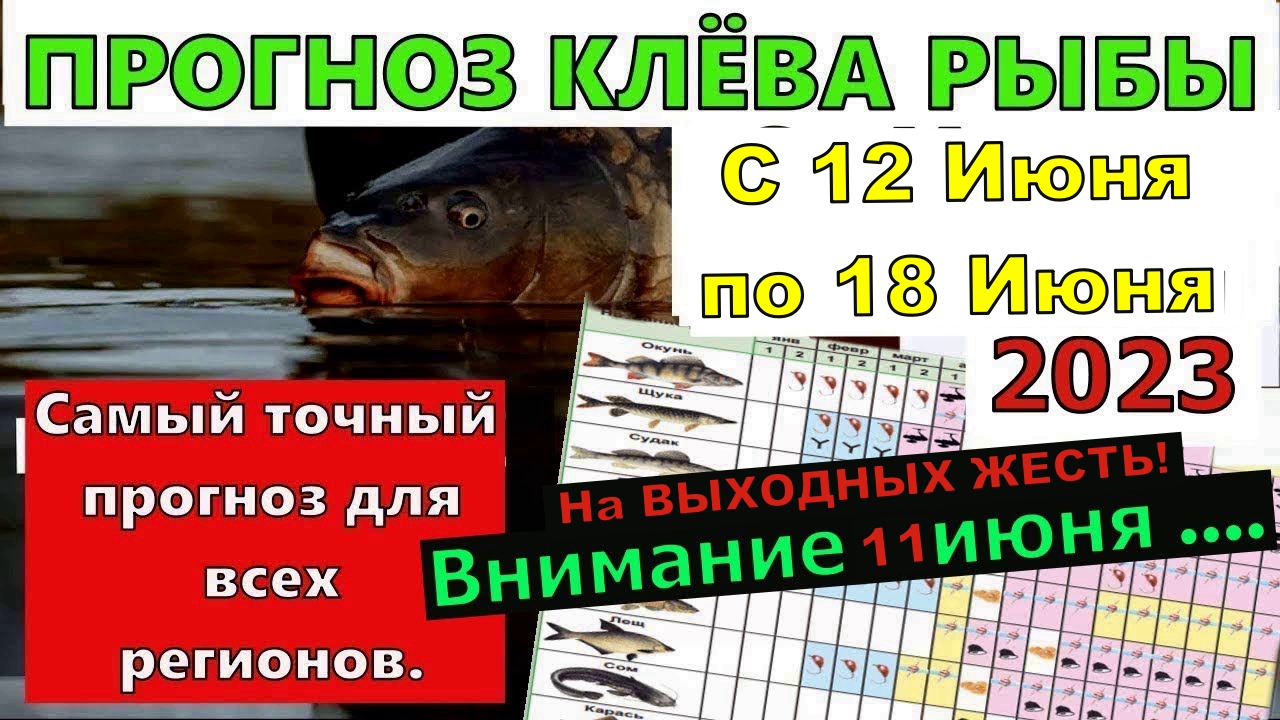 Лунный календарь клева на август Лунный календарь клева на август