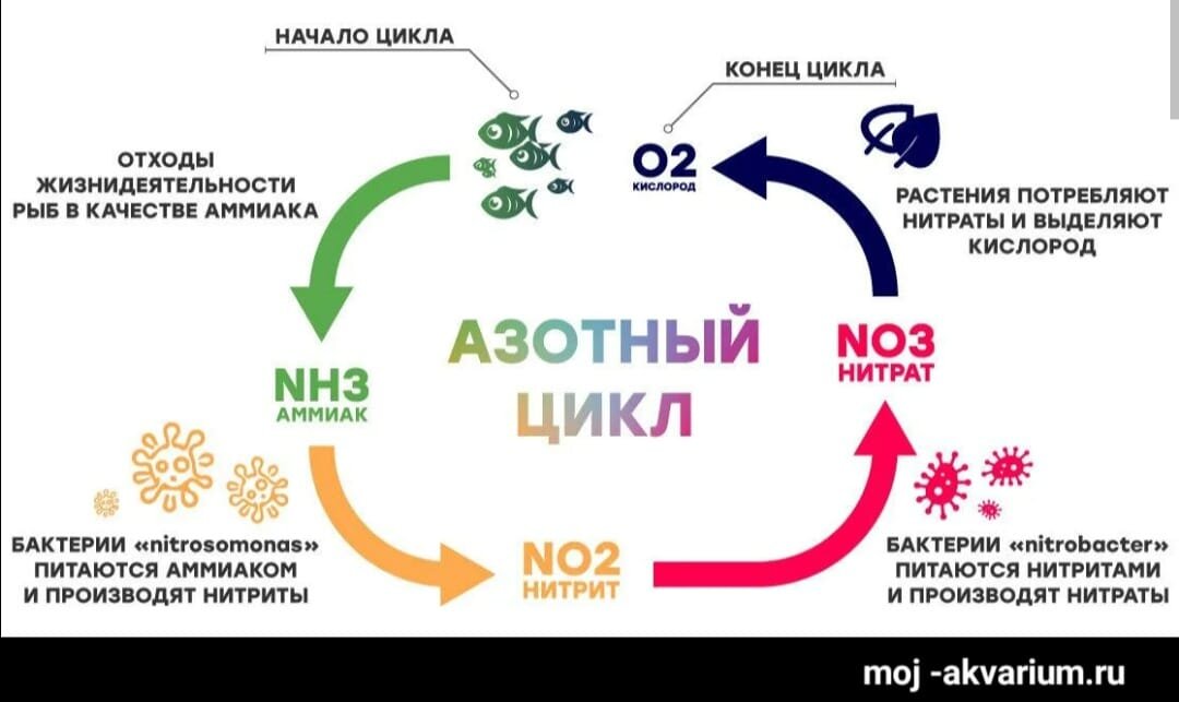 Чем опасно отравление аммиаком?