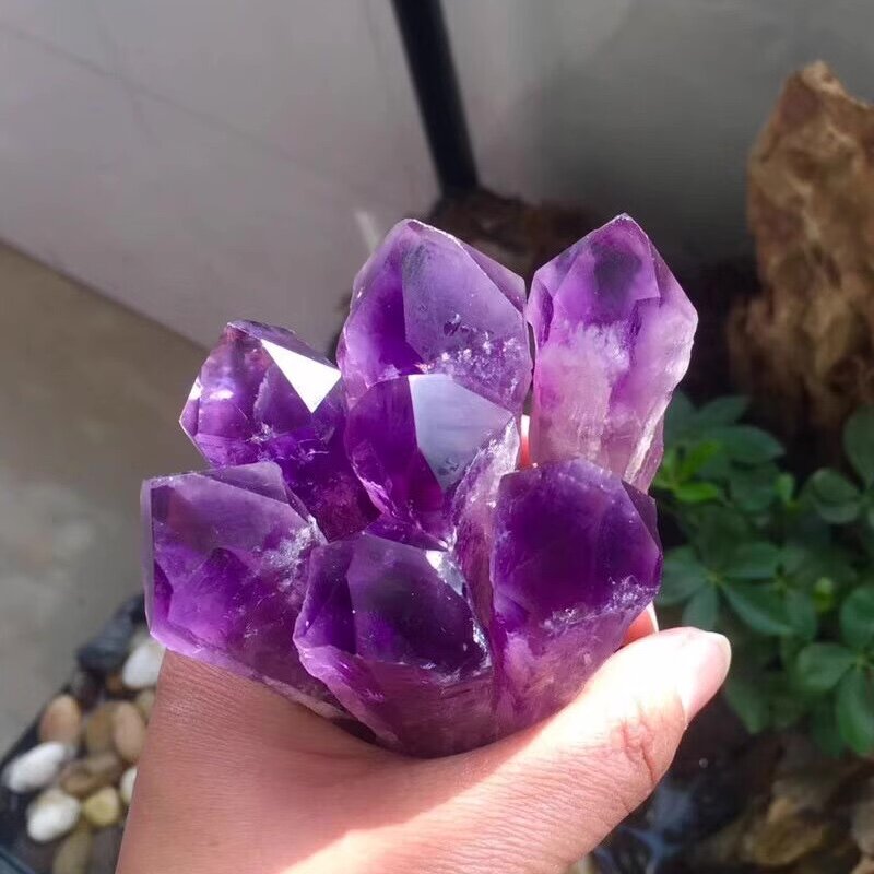 Источник фото: интернет, открытые источники.