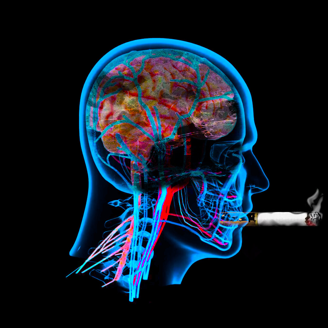 Яндекс картинки