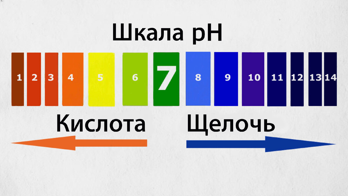 Пищевая сода и разрыхлитель: что лучше? | ГурманЛяндия | Дзен