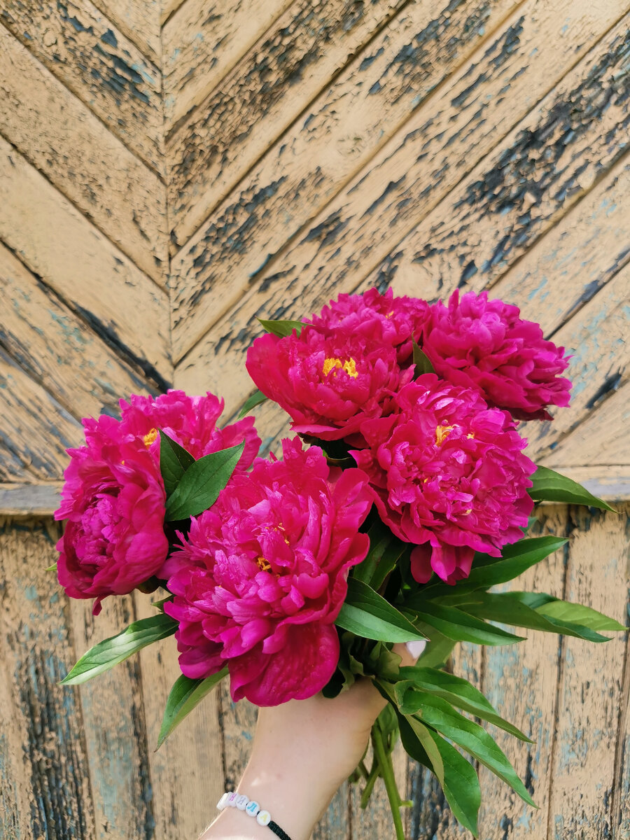 Жаль, что аромат не передать. Белые и нежно-розовые совсем не хотят распускаться. Позже покажу и их. 