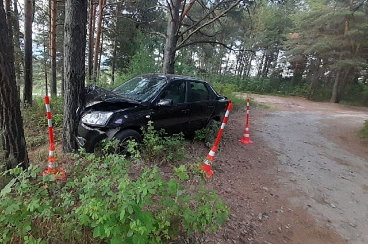    Под Тобольском пьяная бабушка устроила ДТП, в котором пострадали ее внуки