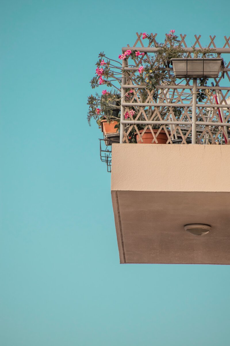 Photo by aboodi vesakaran / Unsplash 