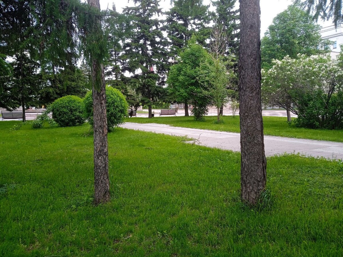 фото автора свежее