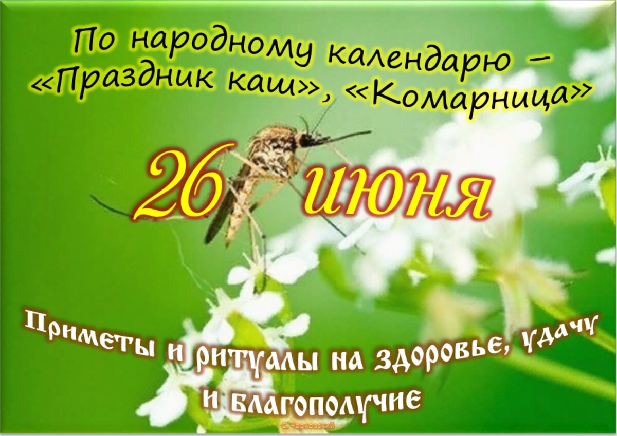 Встречаем новый день