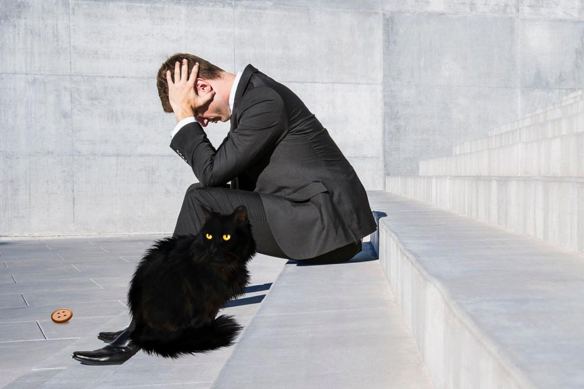 Несчастье на работе. Работа кошки для человека. Чёрная неудача. Чёрный кот перебежал дорогу.