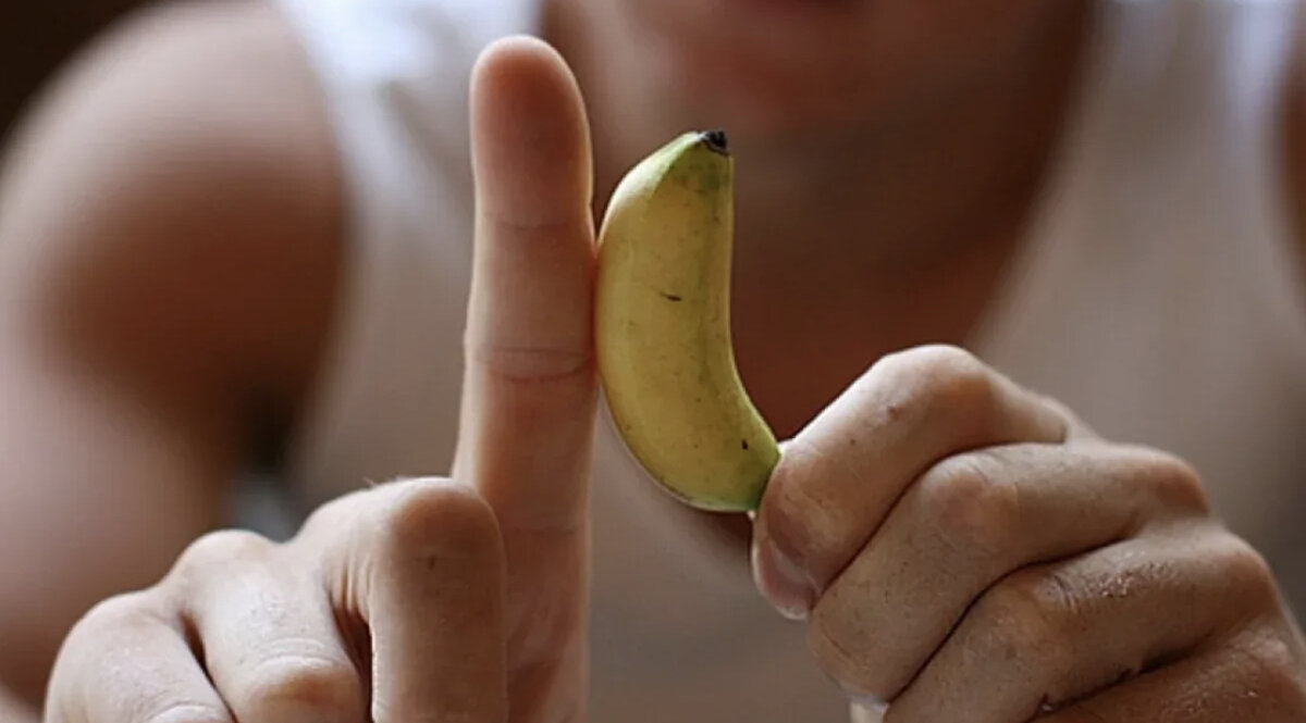 Фото из свободного доступа в интернет