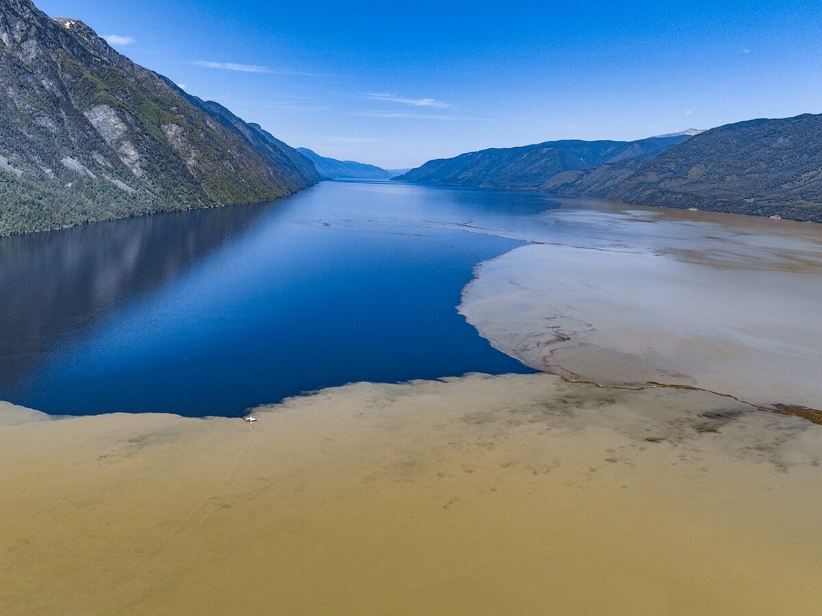 какая рыба водится в телецком озере горного алтая