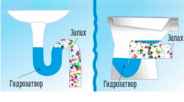 Гидрозатвор сифона для низких ванн купить в интернет-магазине Сантех-Сервис