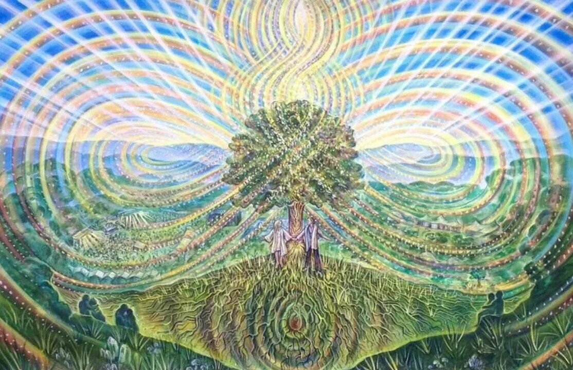 Из свободного доступа в интернете