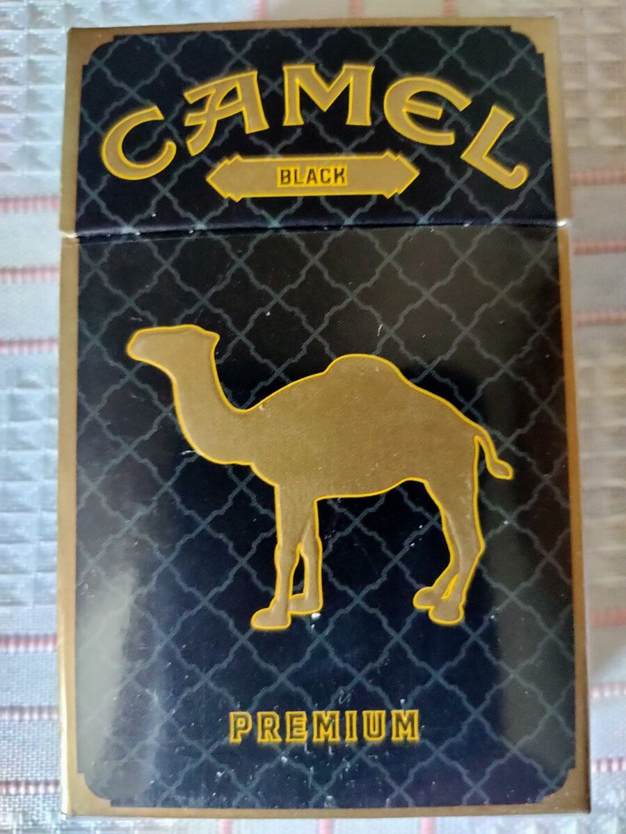 Camel black 2025