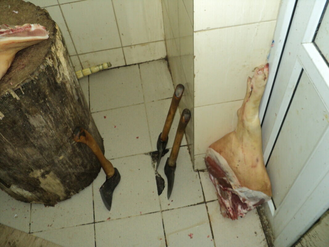    Фото: Россельхознадзор