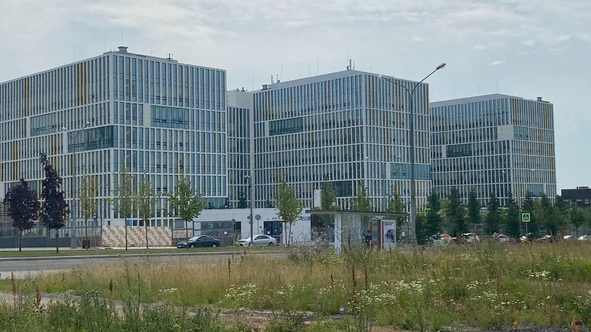 Корпуса больницы в Коммунарке. Фото автора.
