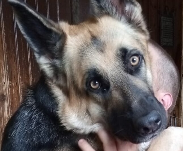 Фото автора-Ева-прям как я вся в думах и раздумьях😂😂😂😂