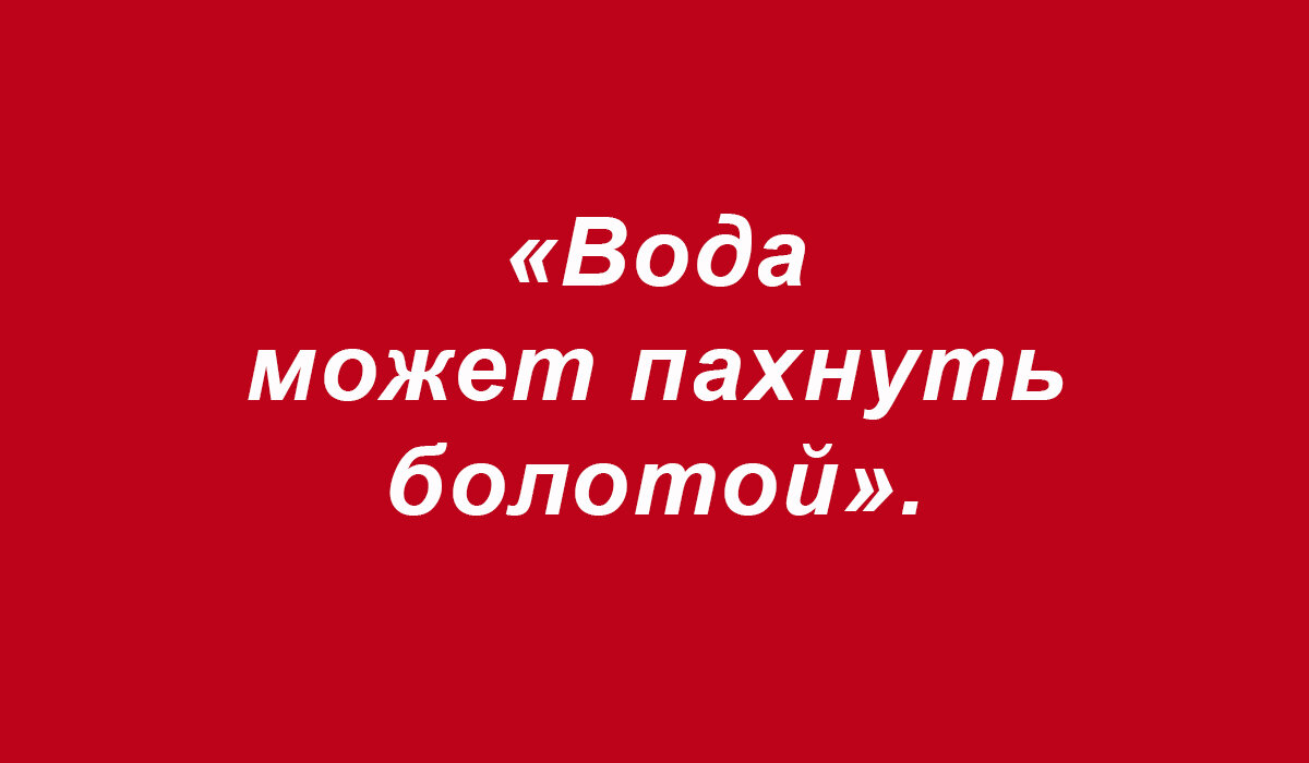 Фразы из школьных работ (подборка 198) | СЧАСТЬЕ и ОПТИМИЗМ | Дзен