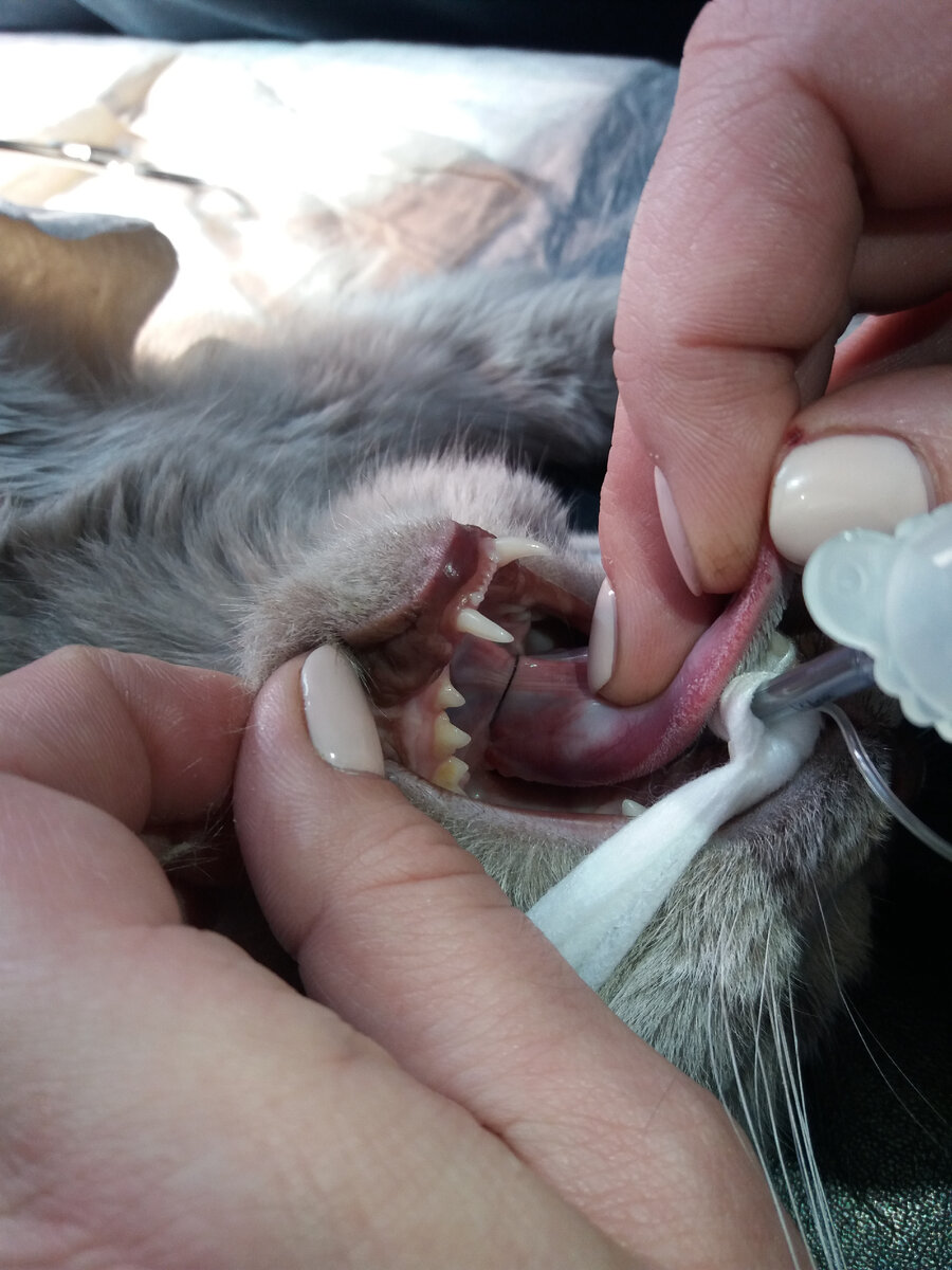 Нитяная петля на языке.