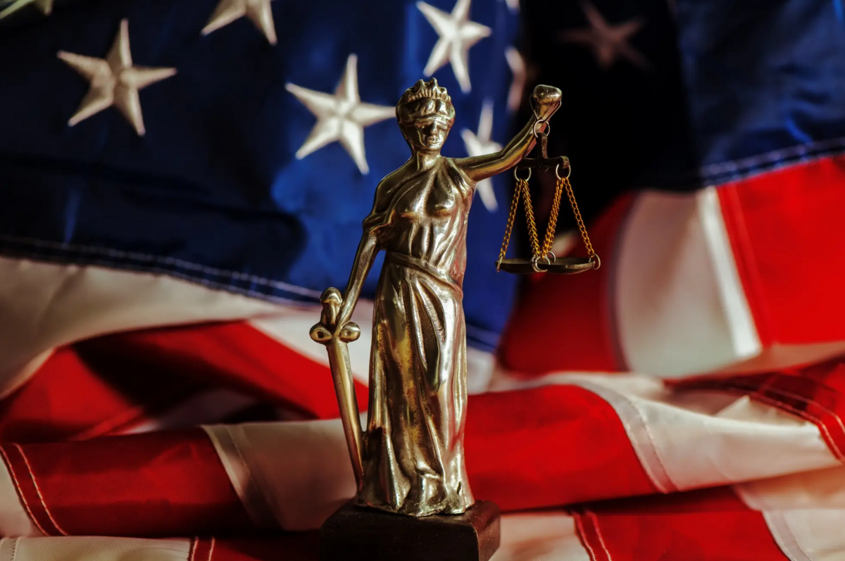 Адвокатура США. Административное право США. Уголовное право США. Правосудие США.