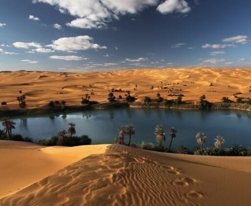 К западу от благословенного животворящего Нила раскинула свои просторы величественная Ливийская пустыня.  Она составляет, пожалуй, самую загадочную, жестокую и романтичную часть грозной Сахары.
