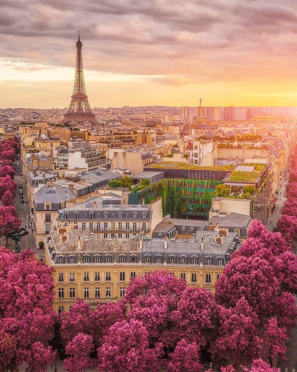 Для комфортной жизни во Франции нужно оформить ВНЖ