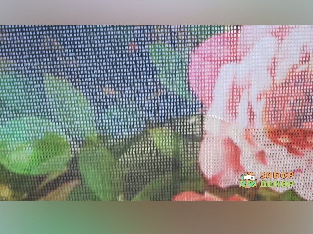 Сетка крупным планом