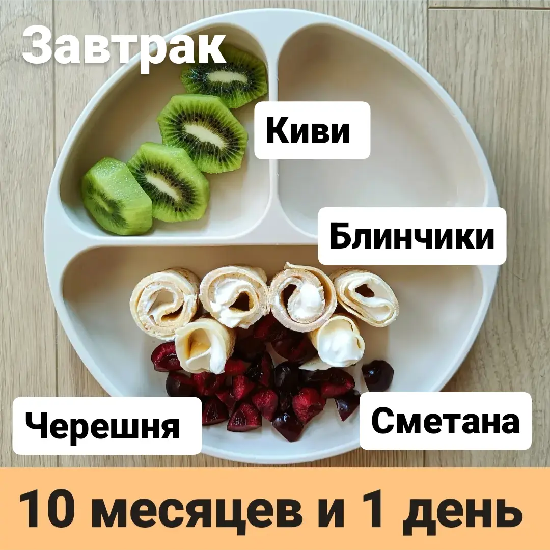 Пример тарелки в 10 месяцев 