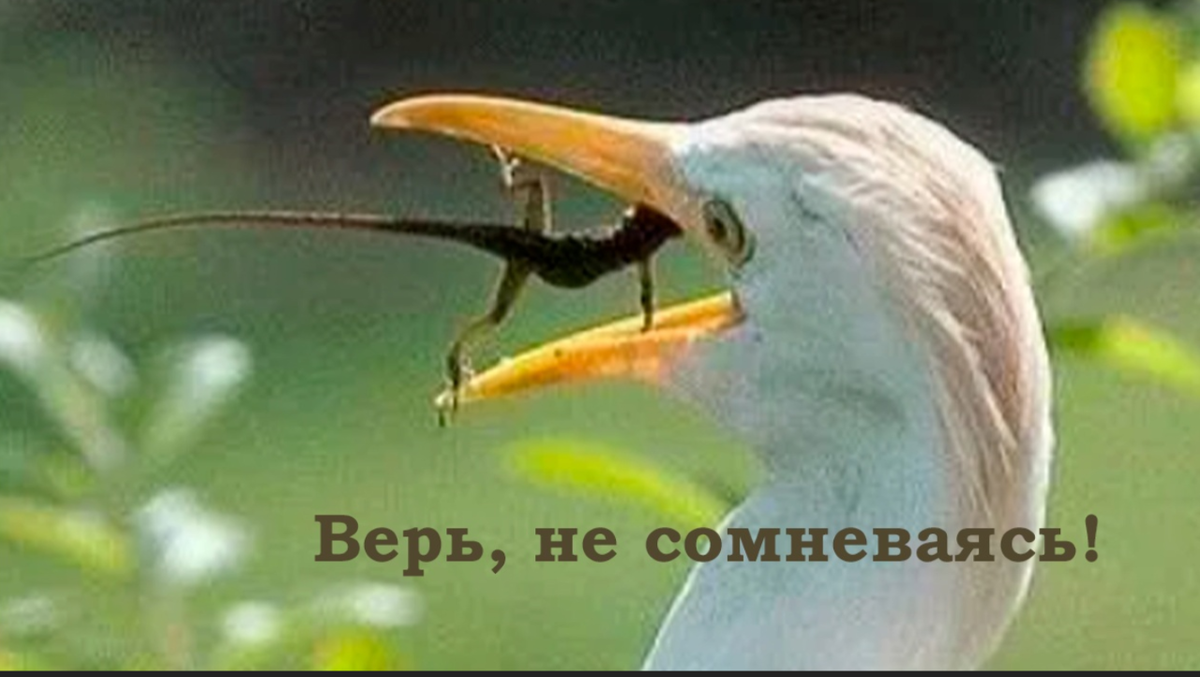 Подписывайтесь на канал и ставьте лайки - этим вы помогаете каналу развиваться. Спасибо!