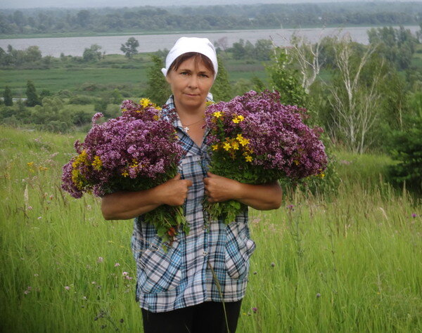 фото автора , я с букетами душицы и зверобоя.