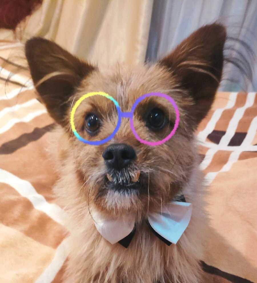 Добрый вечер .