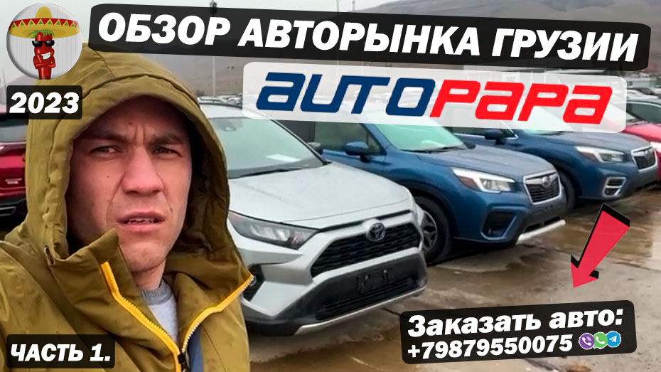 Автопапа Грузия Рустави