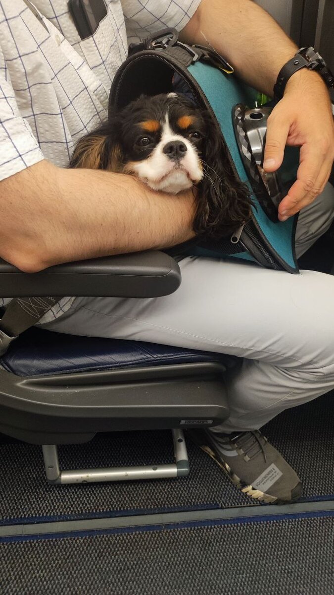 Я успокоилась