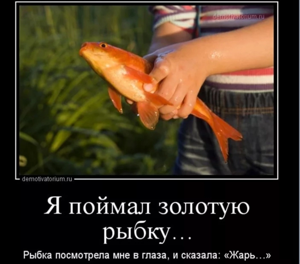 Не хочу быть рыбой. Шутки про рыбу. Рыбка прикол. Поймал золотую рыбку. Золотая рыбка прикольная.