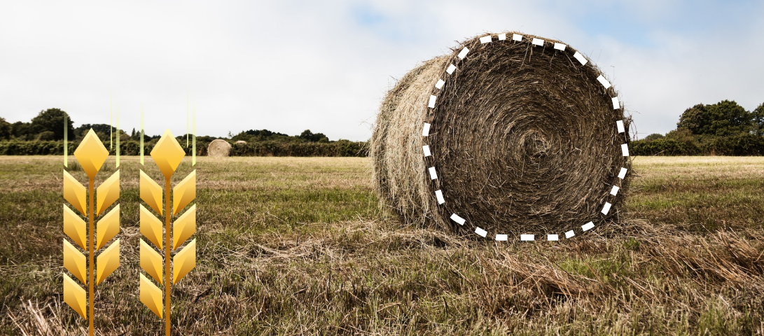 Источник: Авторский материал пользователя платформы. Источник фото: Unsplash (https://unsplash.com/)