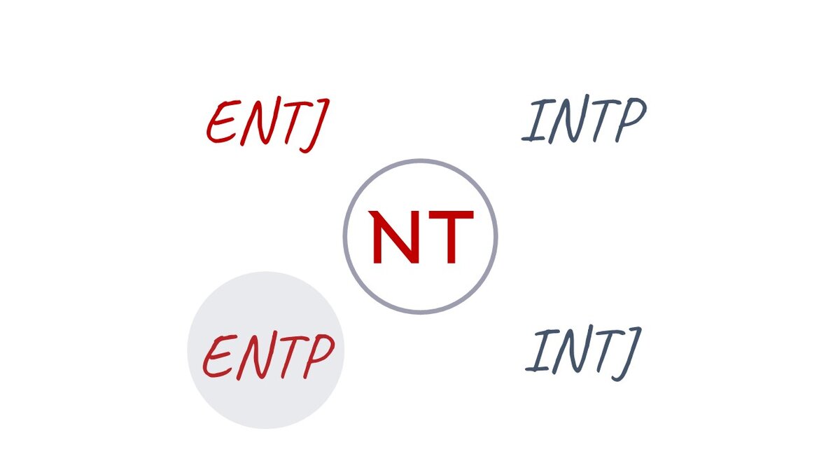 4 вариации мета-типа NT