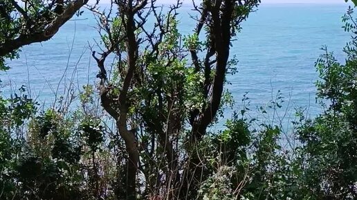 Погода в геленджике на 5 дней