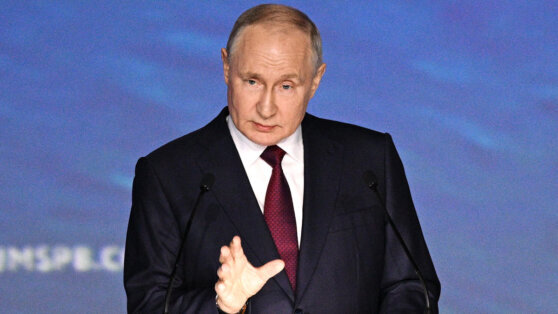    Путин: Украина имеет право на обеспечение безопасности Дарья Смирнова