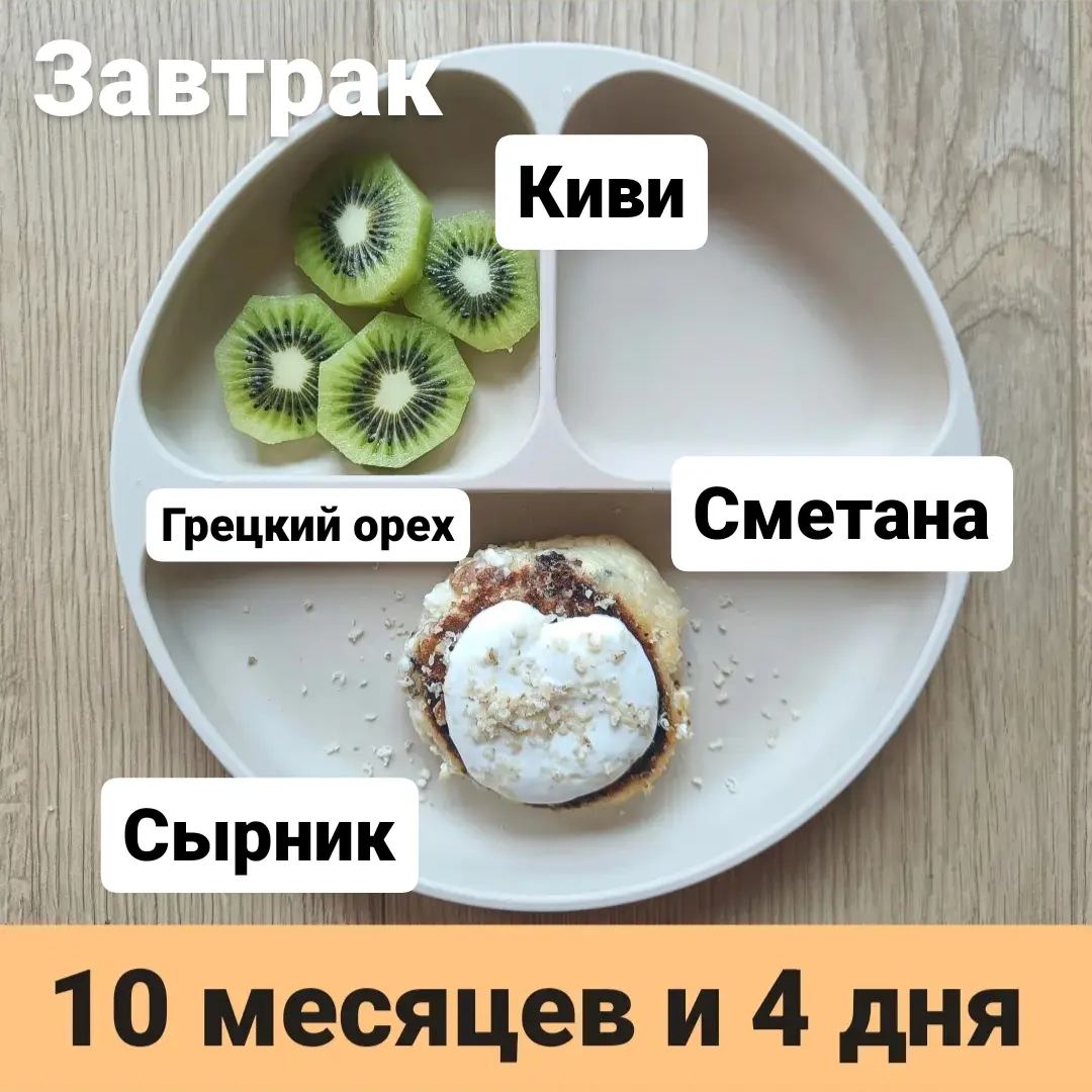 Пример тарелки в 10 месяцев 