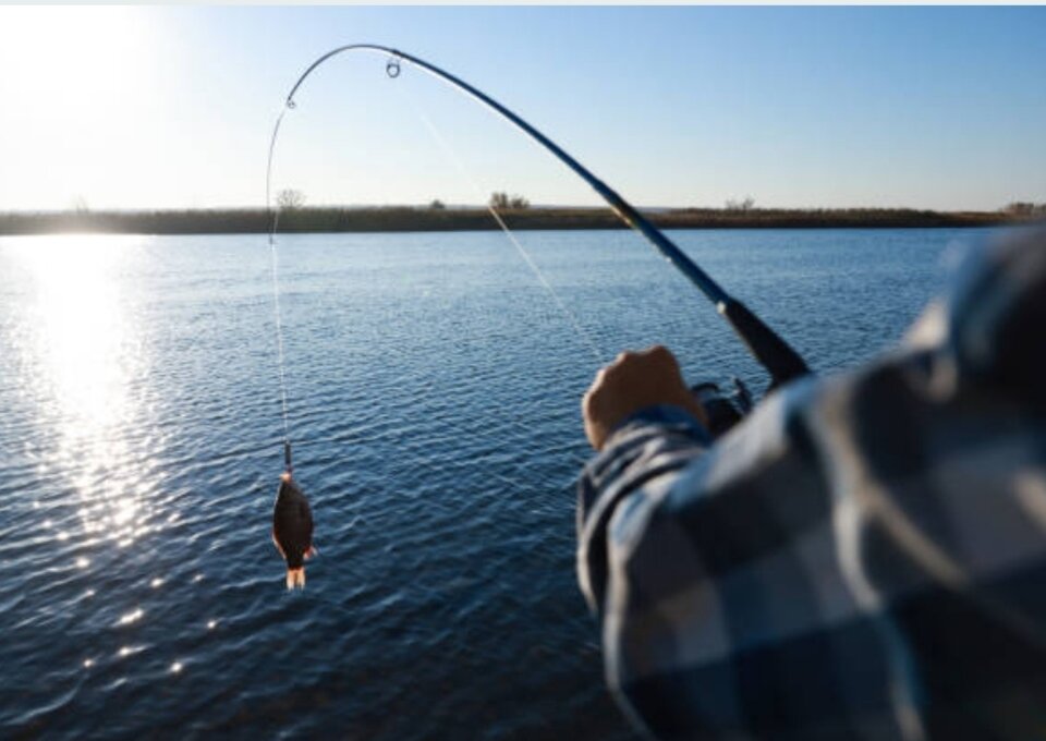 Фото с сайта https://www.istockphoto.com