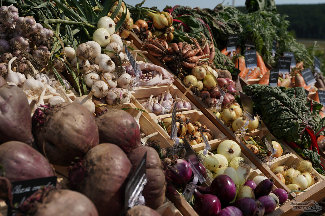    Фото: Лидия Аникина © ИА "Уральский меридиан" Вера Яковлева