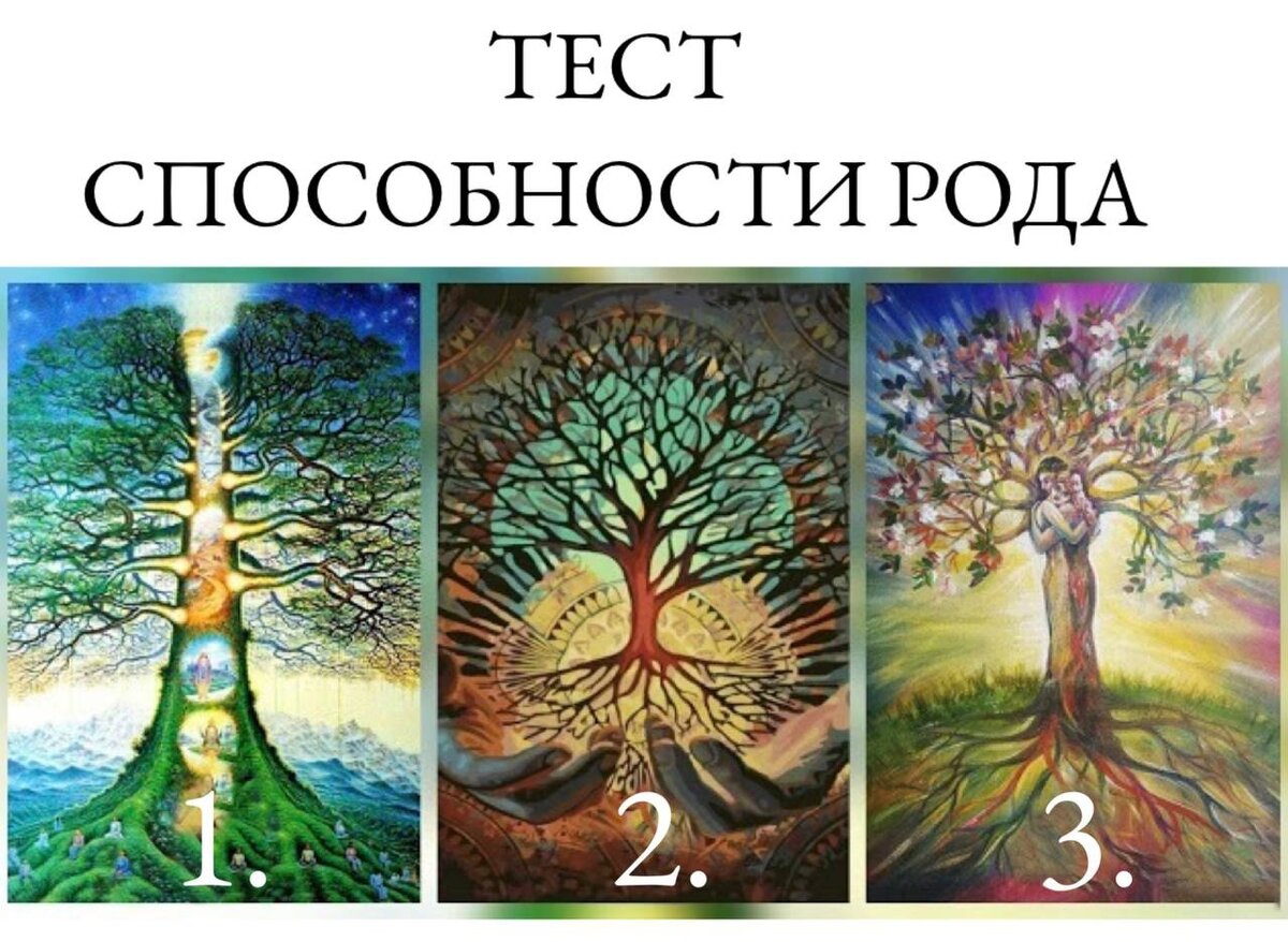 Выбирайте дерево и живите. Дерево рода. Самопознание Древо. Дерево рода эзотерика. Тесты эзотерика в картинках.