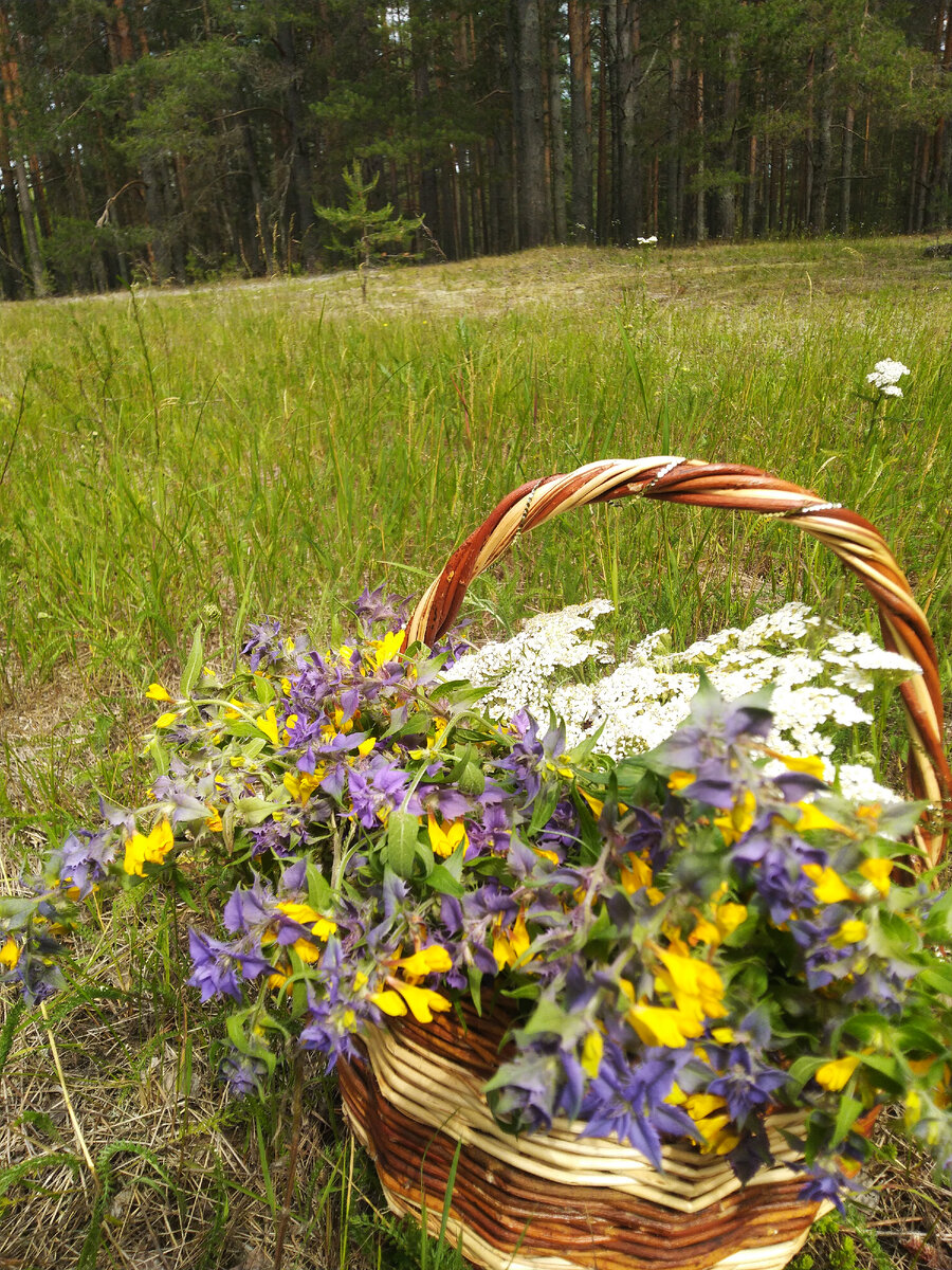 Моя радость