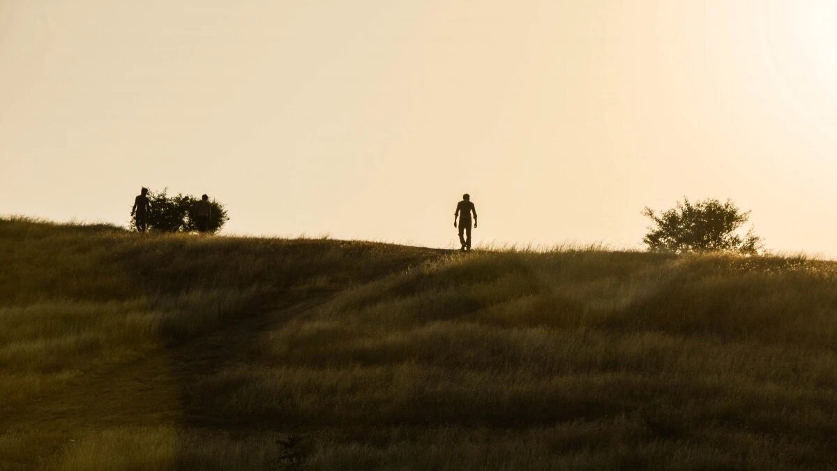 Фото: pxhere.com