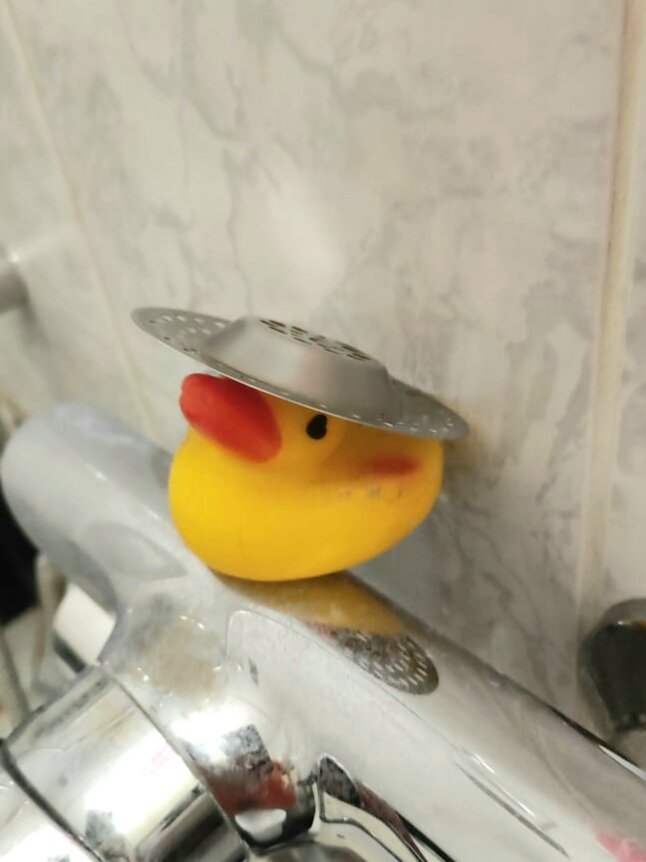 Кабальеро дон Пато. Фото и название мужа Алексея.