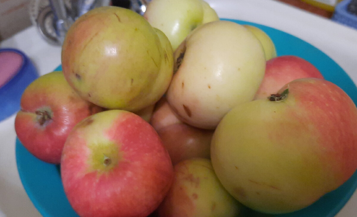 Яблоки с нового участка, очень вкусные)