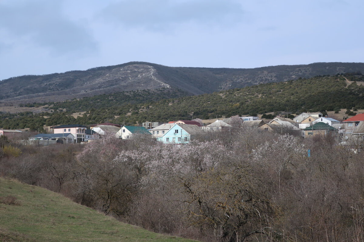 Хорошо виден приглянувшийся мне дом. Вокруг довольно приличные строения, что тоже идёт в пользу выбранного объекта...