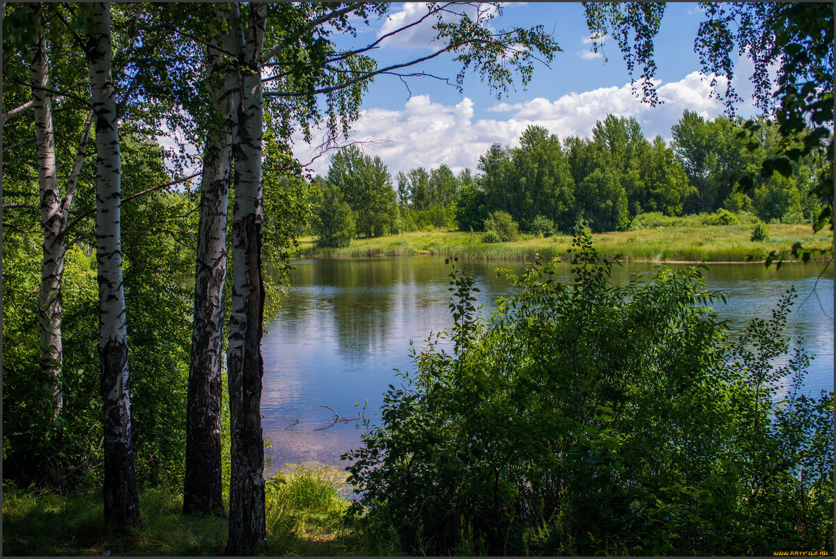 Чашечка кофе, тишина, свист птичек, жужжание комаров🦟🐝 и всё это не зависимо от погоды-дождь или солнце☀пробуждает тебя на позитивную ноту, настрой на целый день 🙃Даже если нет у вас дачи, но вы нашли время выбраться за город, уйти от шума, суеты, повседневных дел, то это дорогого стоит! Как же приятно побыть с самим собой или с семьёй отложив весь быт на потом))) За дышать новой жизнью, почувствовать себя как заново рождённым и готовым на новый уровень жизни)))! Поделить и вы своими впечатлениями о вашем отдыхе🙂🙃