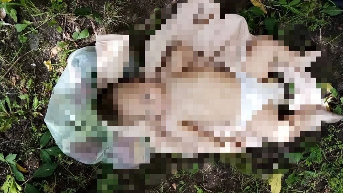 Фото: Mash / Telegram