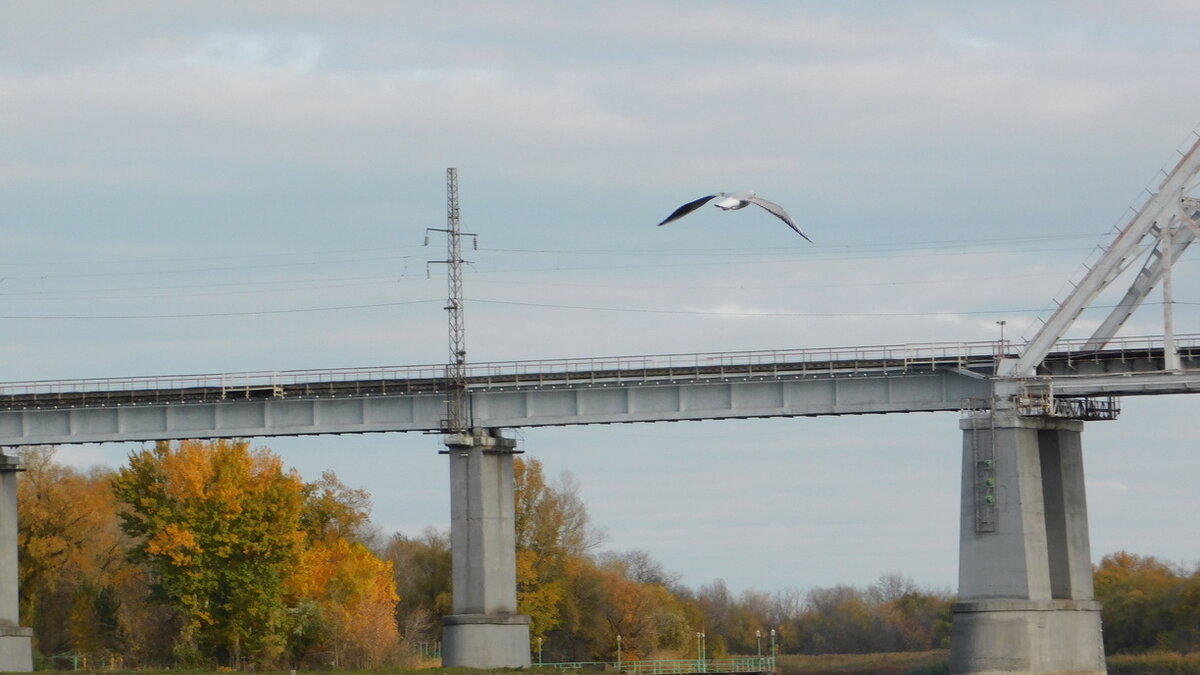     На объекте случилось повреждение дорожного полотна.